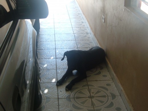 Busco el calientito